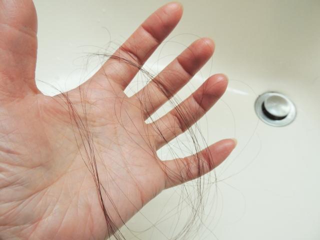 女性の抜け毛とシャンプー方法の関係性 正しい洗髪方法やシャンプー時の抜け毛についても解説 女性の薄毛 抜け毛 予防なら 髪のせんせいwomen Byスカルプdのアンファー