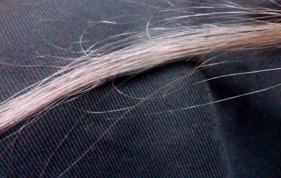 毛先が白くポツポツと点が 毛先が白くなるのは切れ毛のサインって本当ですか 女性の薄毛 抜け毛予防なら 髪のせんせいwomen Byスカルプdのアンファー